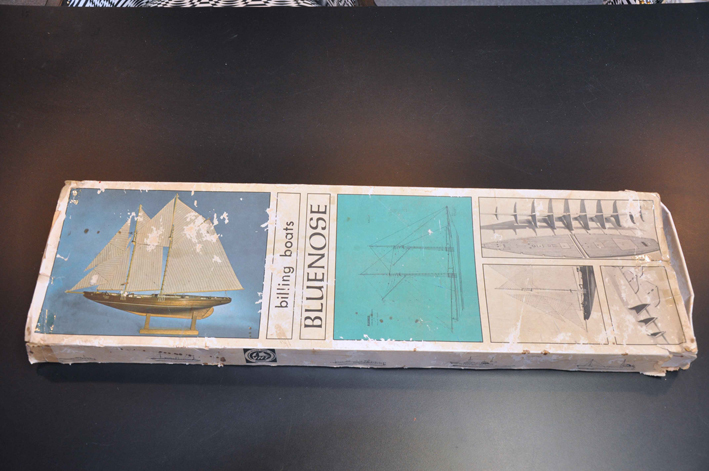 BlueNose6.jpg