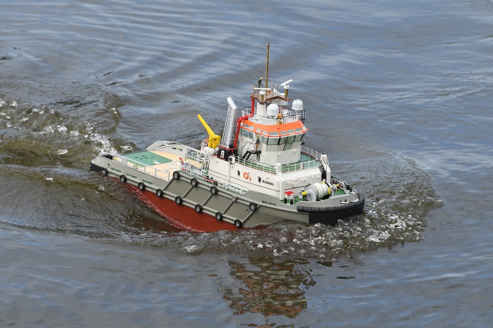 Boxer Afbeelding 029©FvRijsbergen.JPG