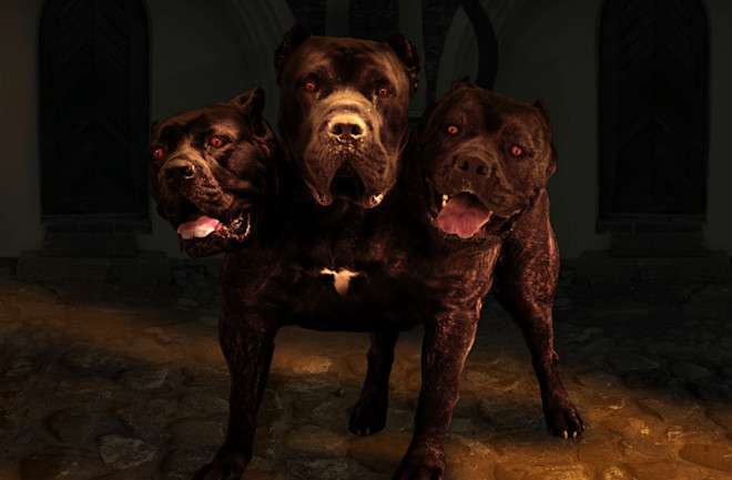 cerberus-three-headed-dog.jpg