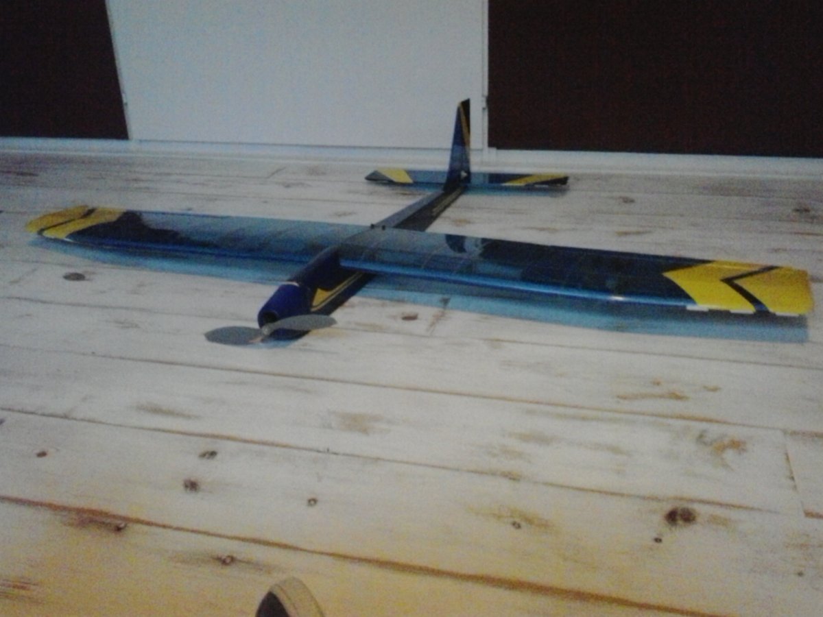 Condor (10).jpg