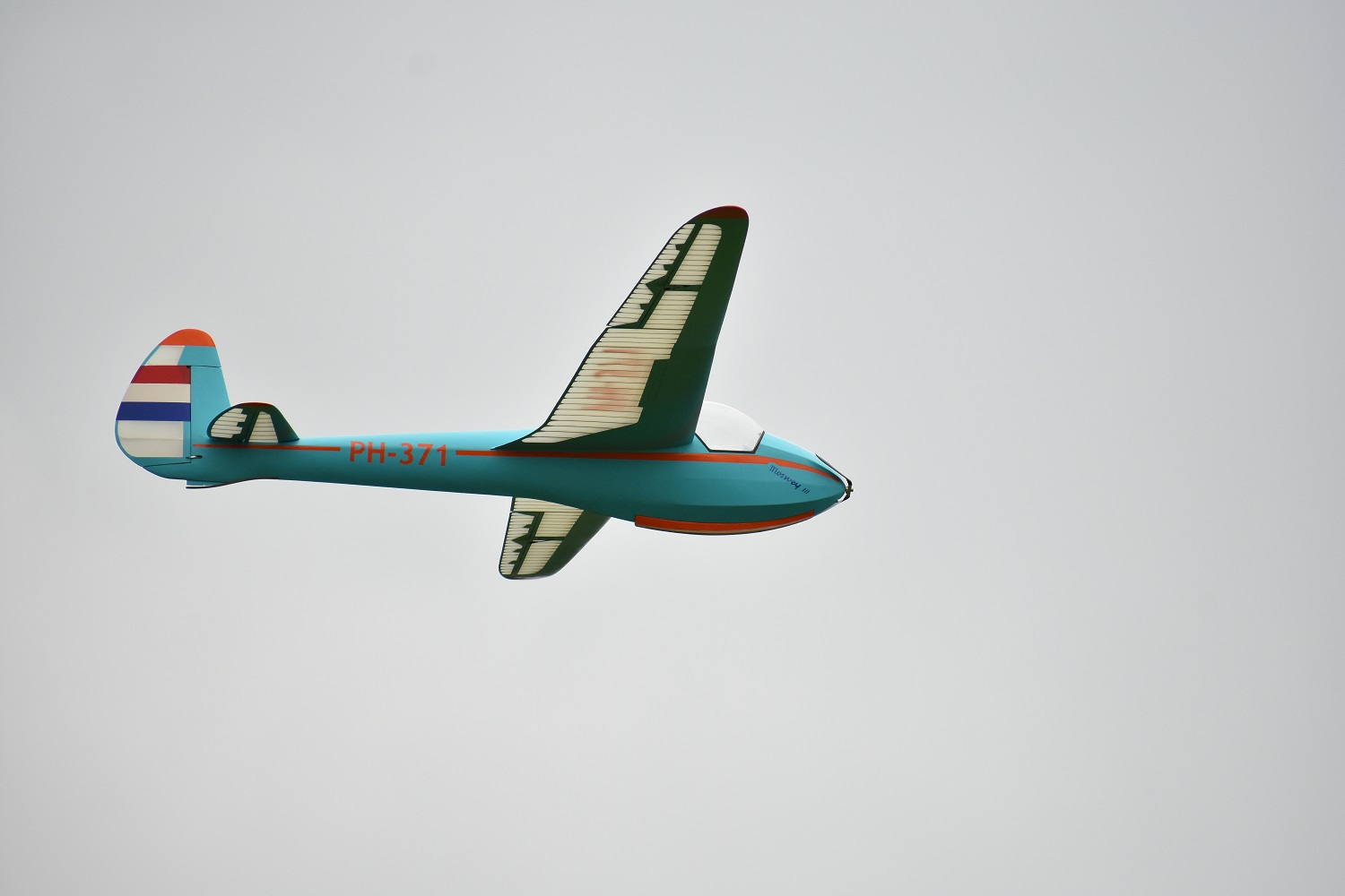D34_3621 crop.jpg