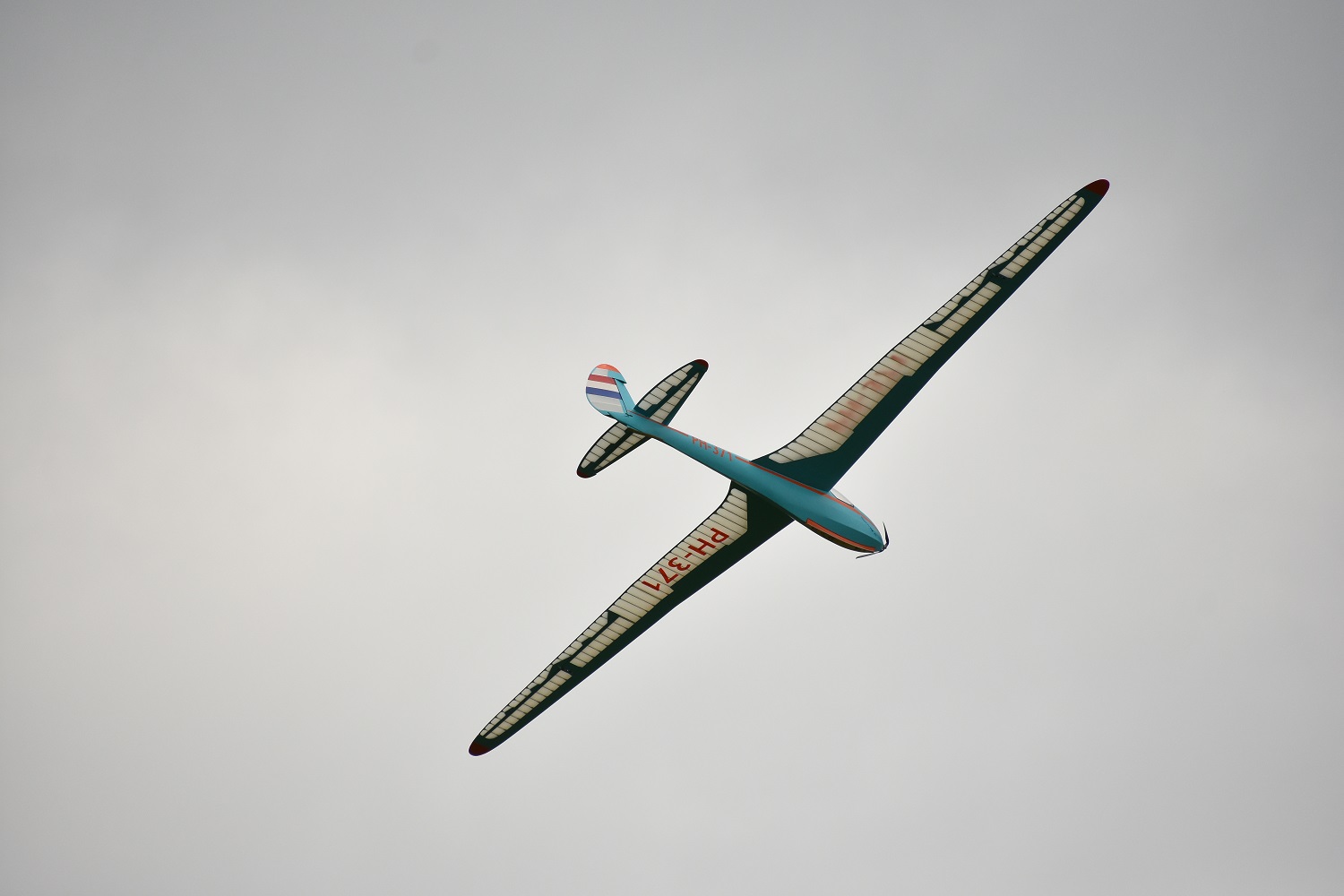 D34_3788 crop.jpg