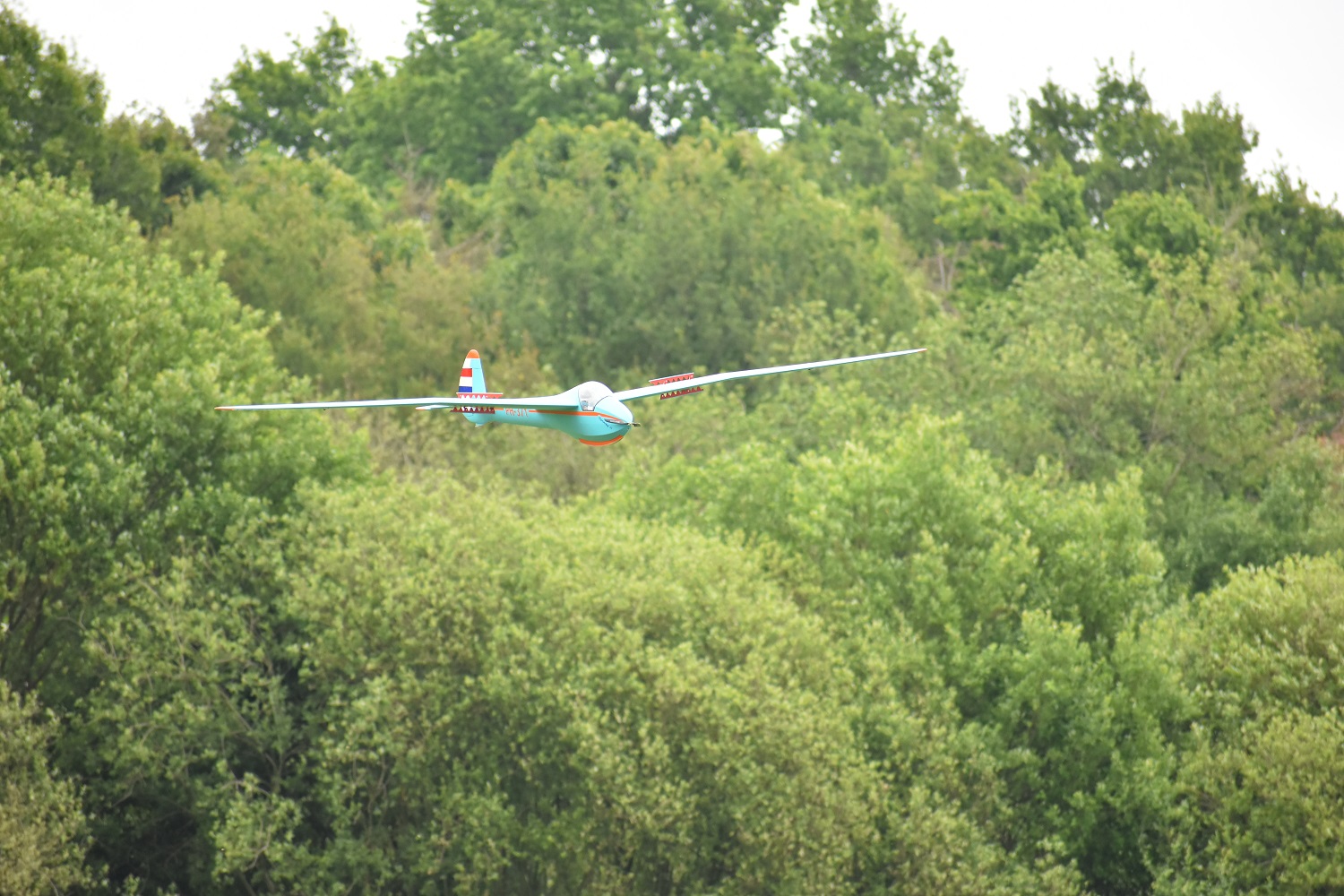 D34_3789 crop.jpg