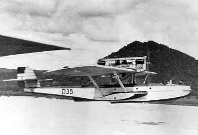 D35-1.jpg