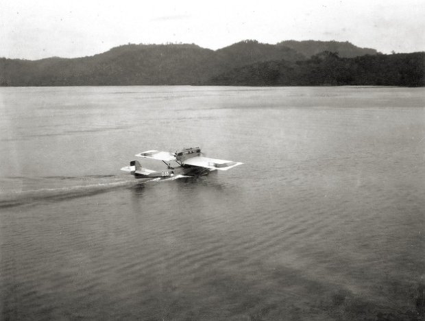 D35-2.jpg