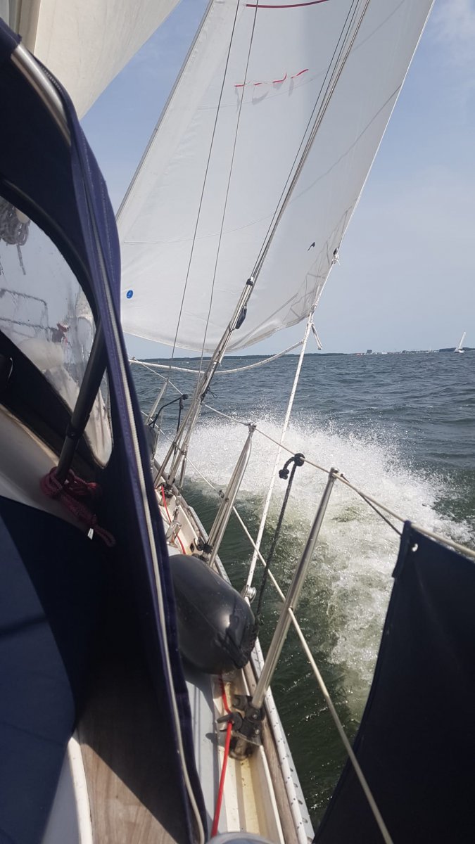 d5e63dae-6406-463a-8085-c0e4157886b2.jpg
