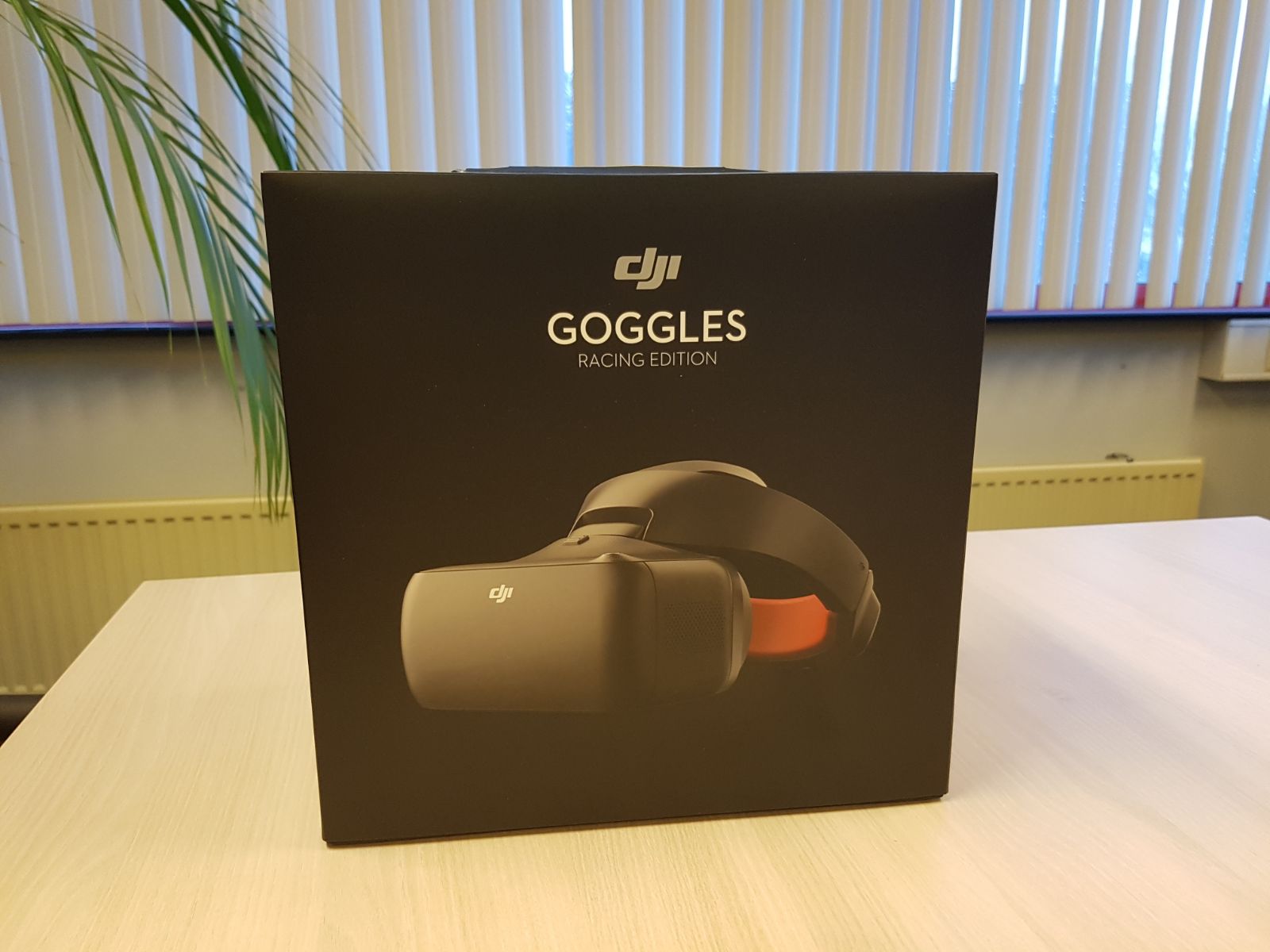 DJI Goggels RE.jpeg