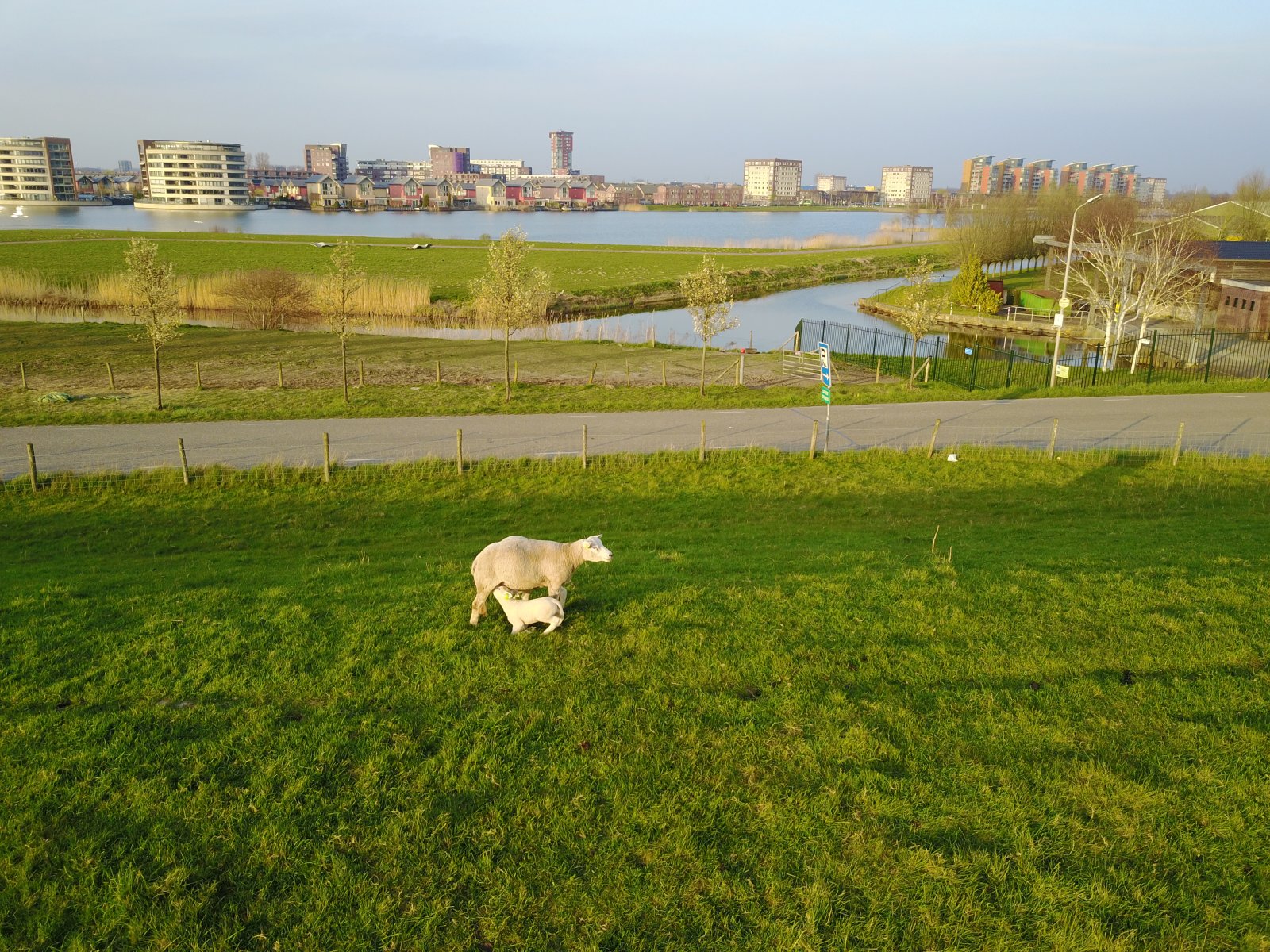 DJI_0089.JPG