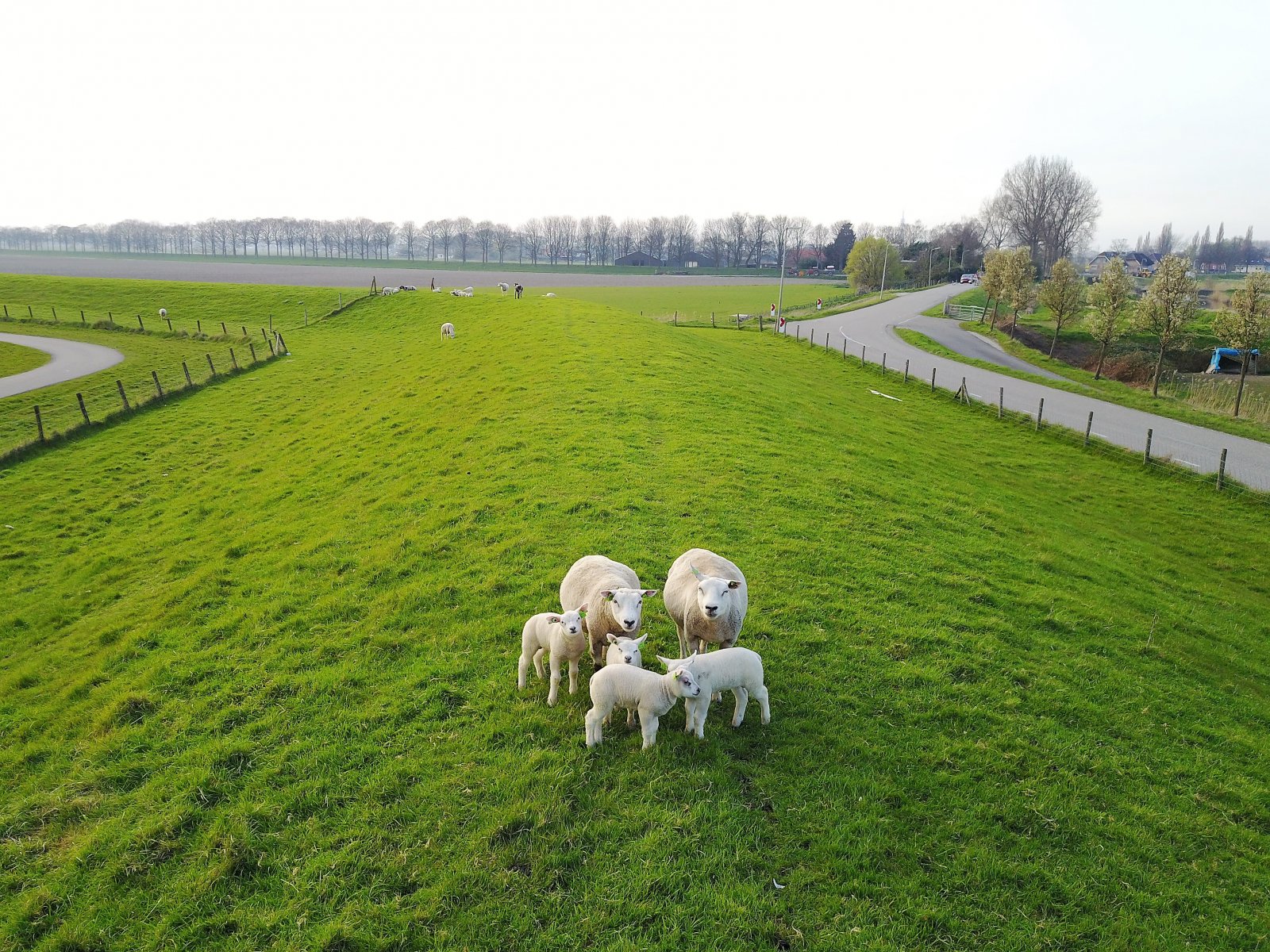 DJI_0095.JPG