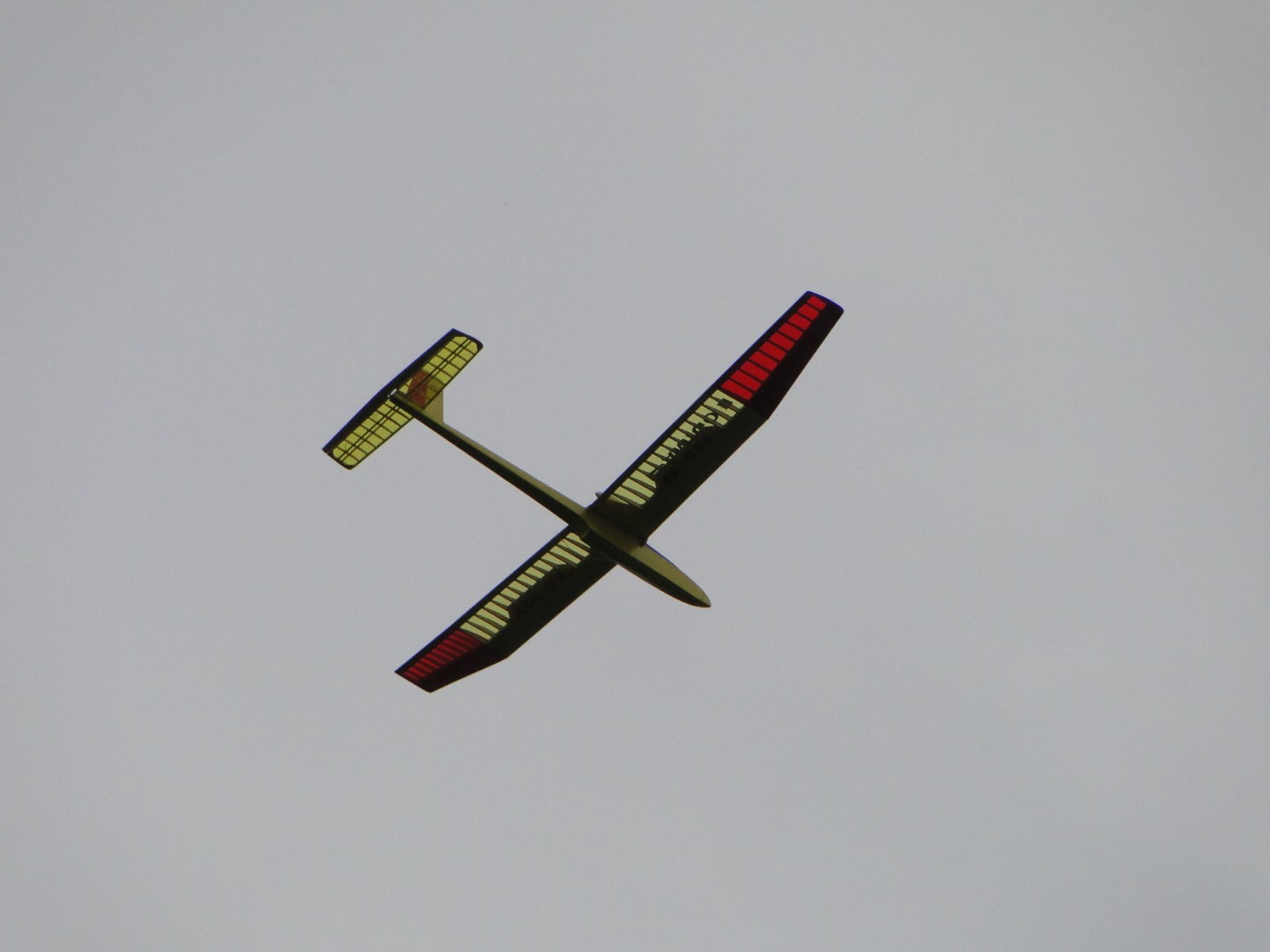 DSC01750 (Large).JPG