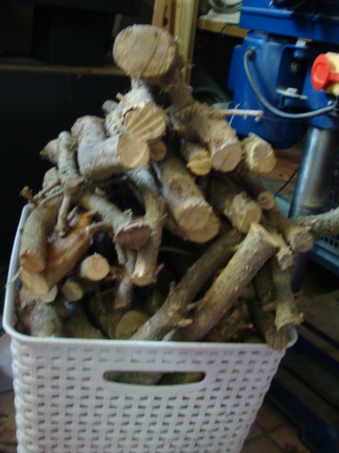 DSC05023.JPG
