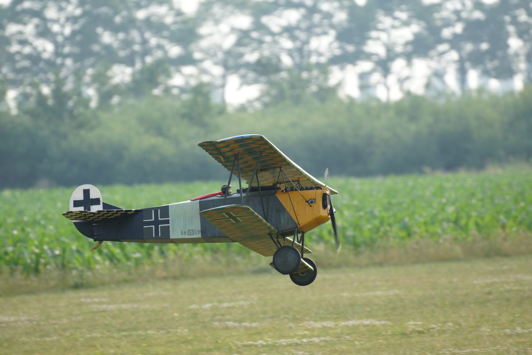 DSC06870_k.jpg