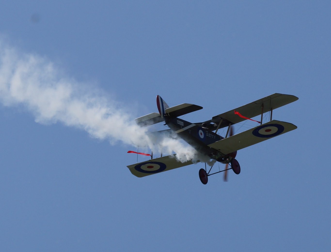 DSC06988_k.jpg