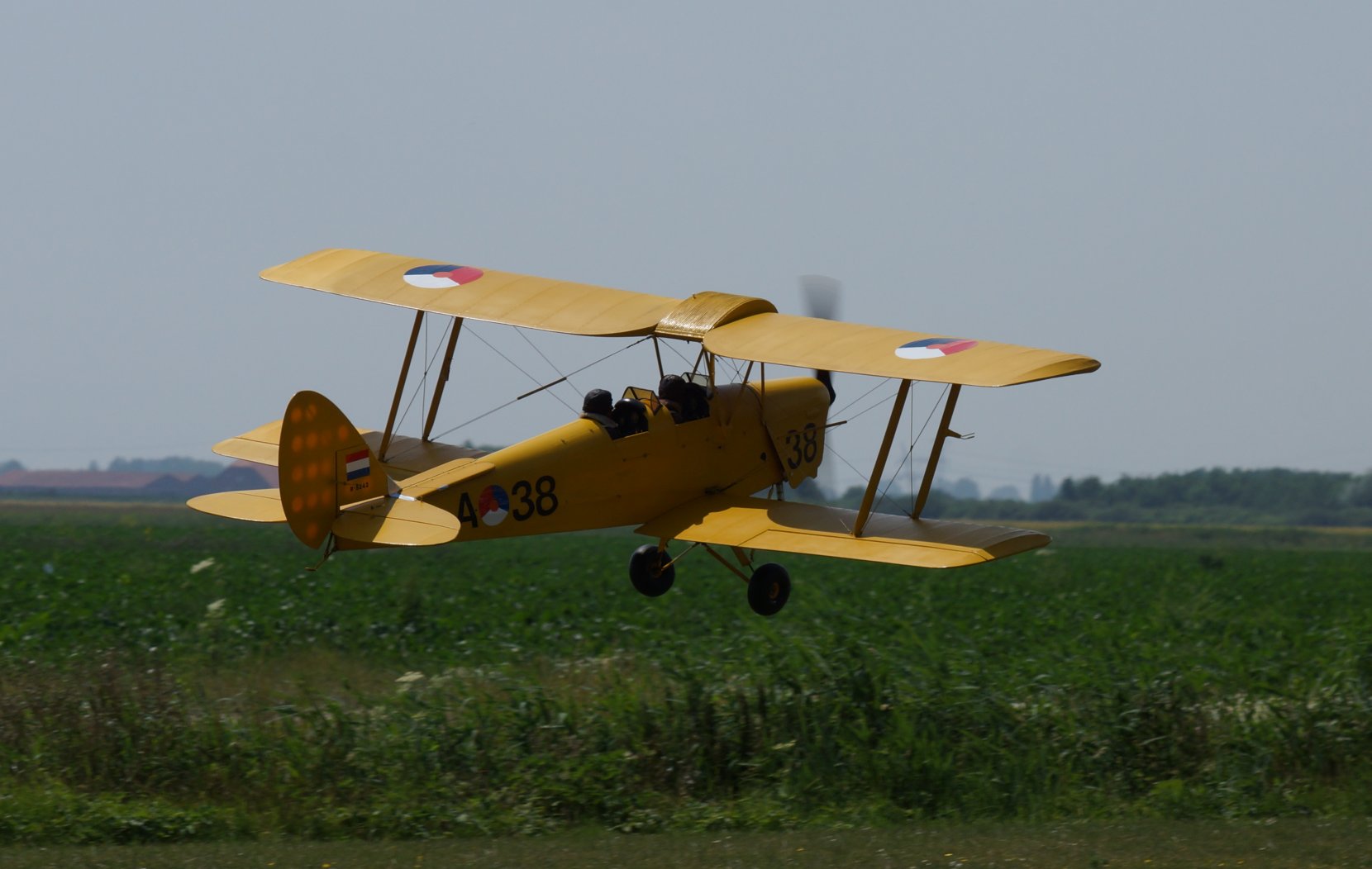DSC07156_k.jpg