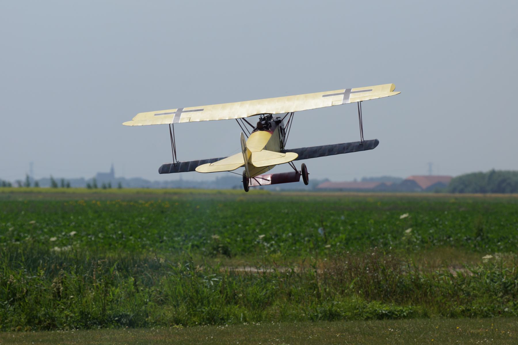 DSC07290_k.jpg