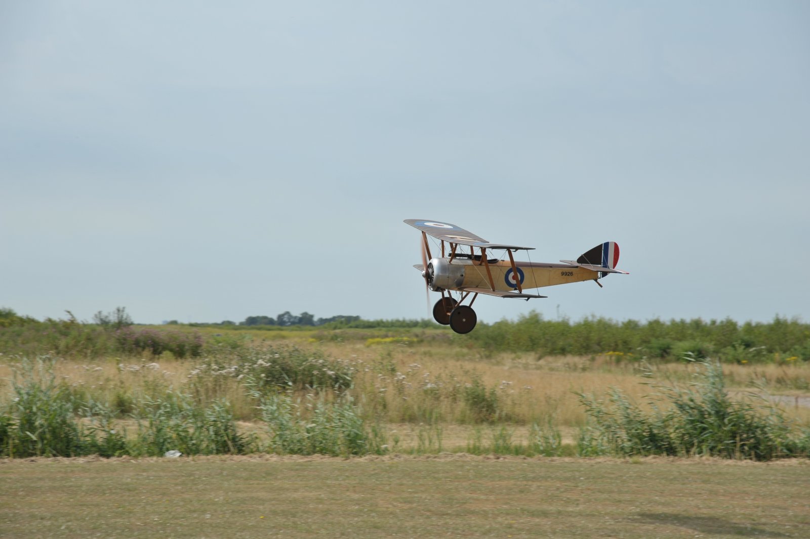DSC_0043.JPG