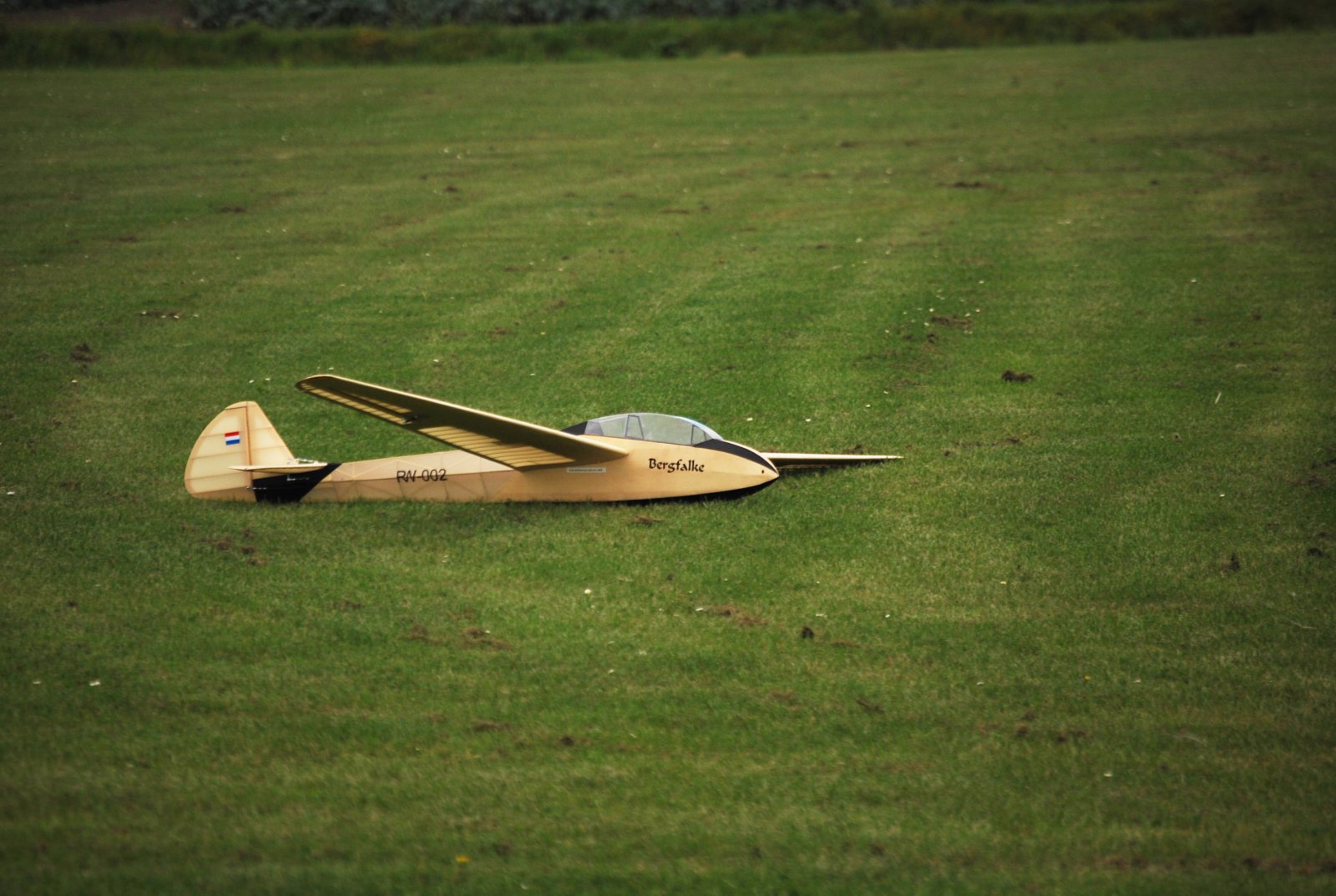 DSC_0048.JPG