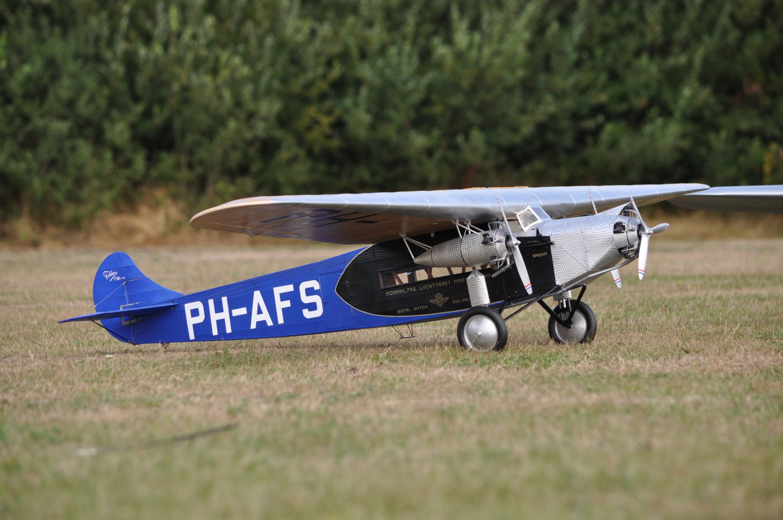 DSC_0079.JPG