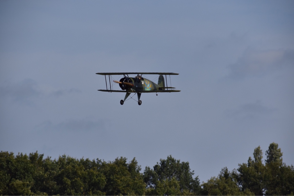 DSC_0315.JPG