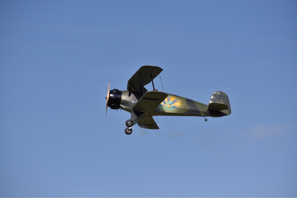 DSC_0320.JPG