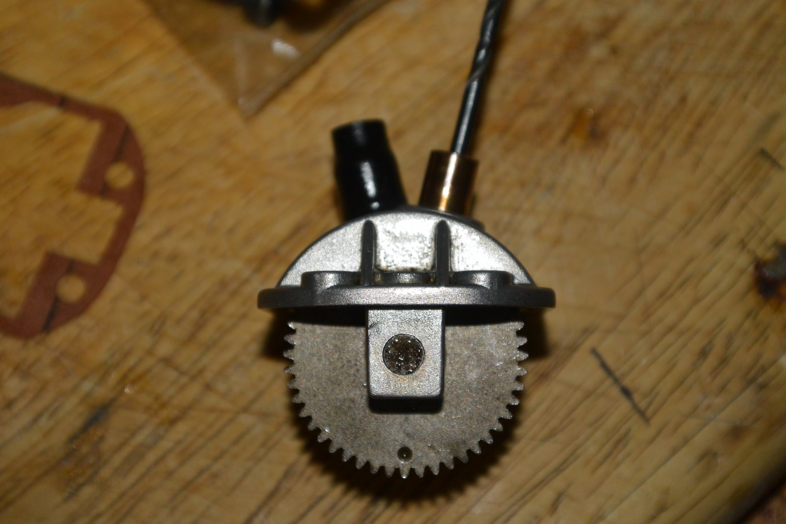 DSC_1077.JPG