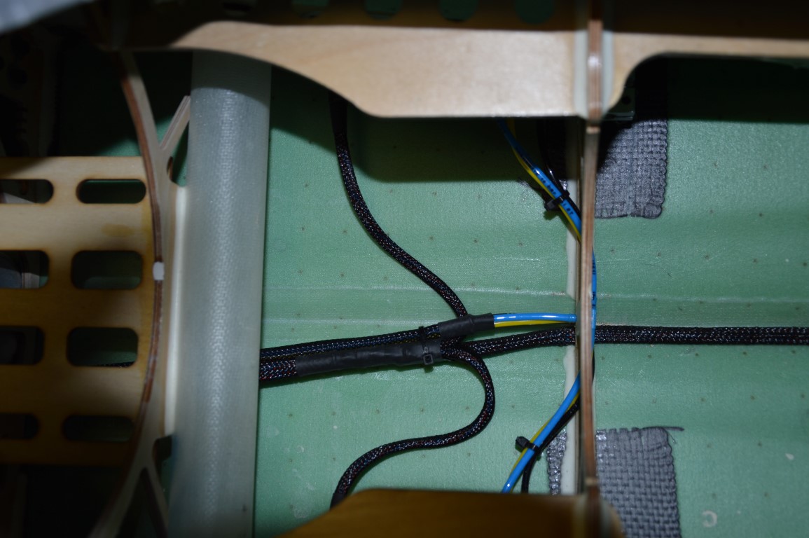 DSC_1171 (Medium).JPG
