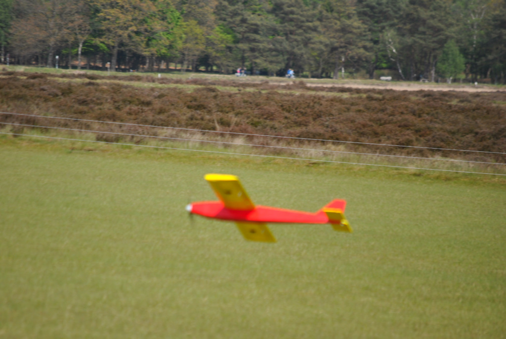 dsc_1217.jpg