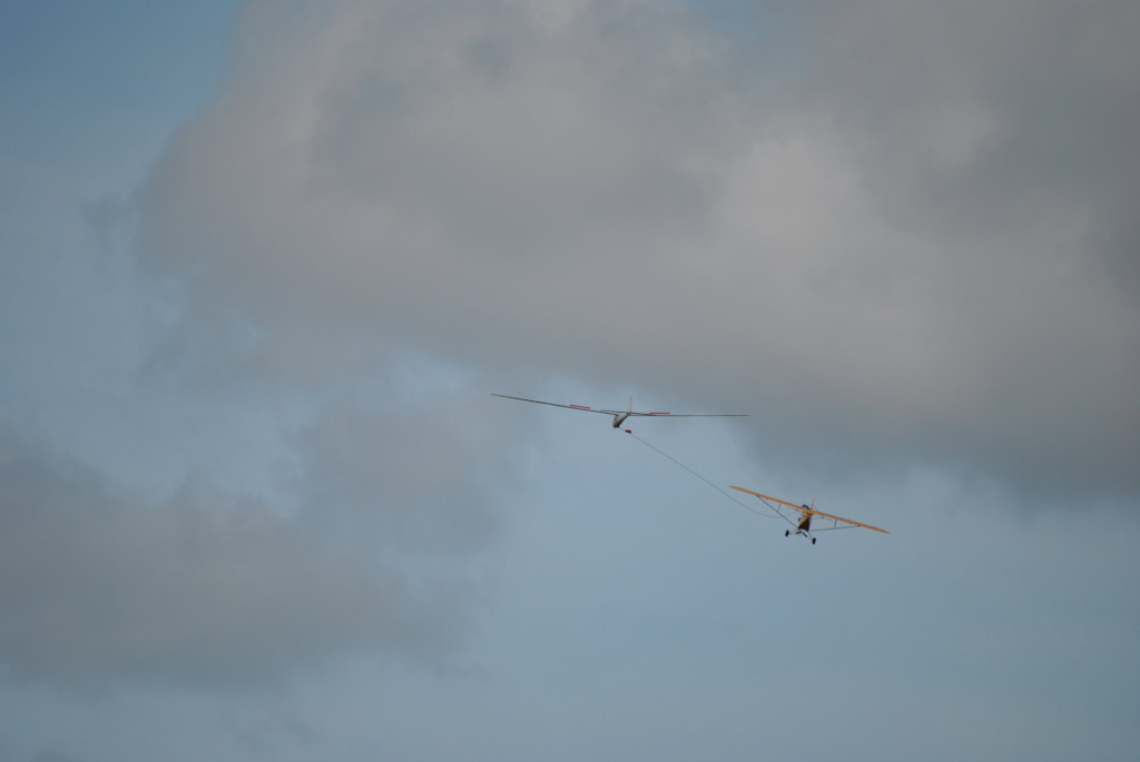 dsc_1223.jpg