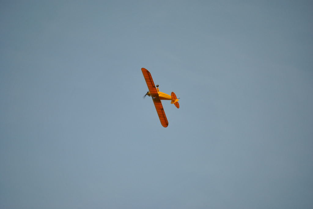 dsc_1282.jpg