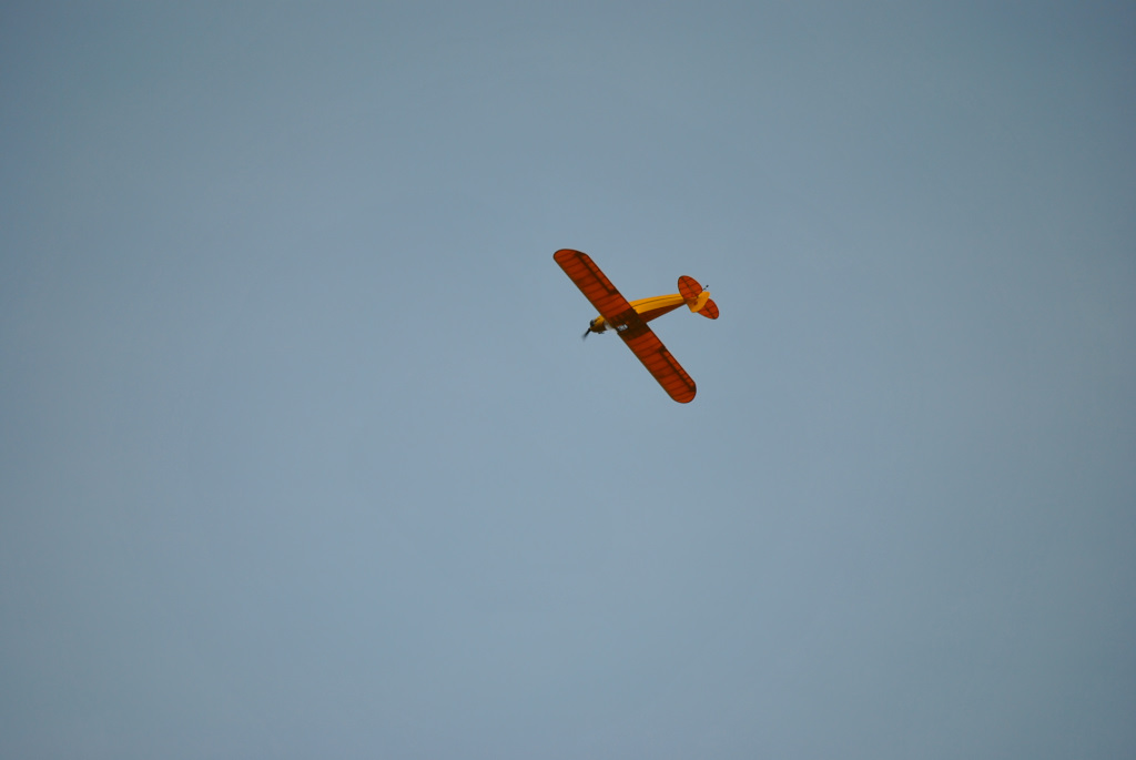 dsc_1283.jpg