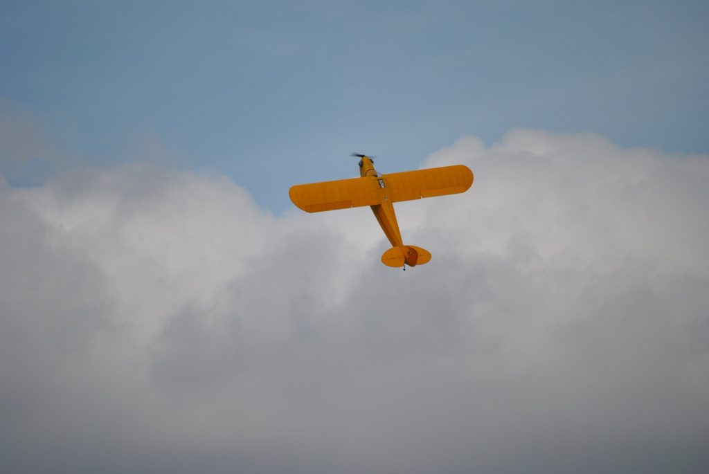 dsc_1296.jpg