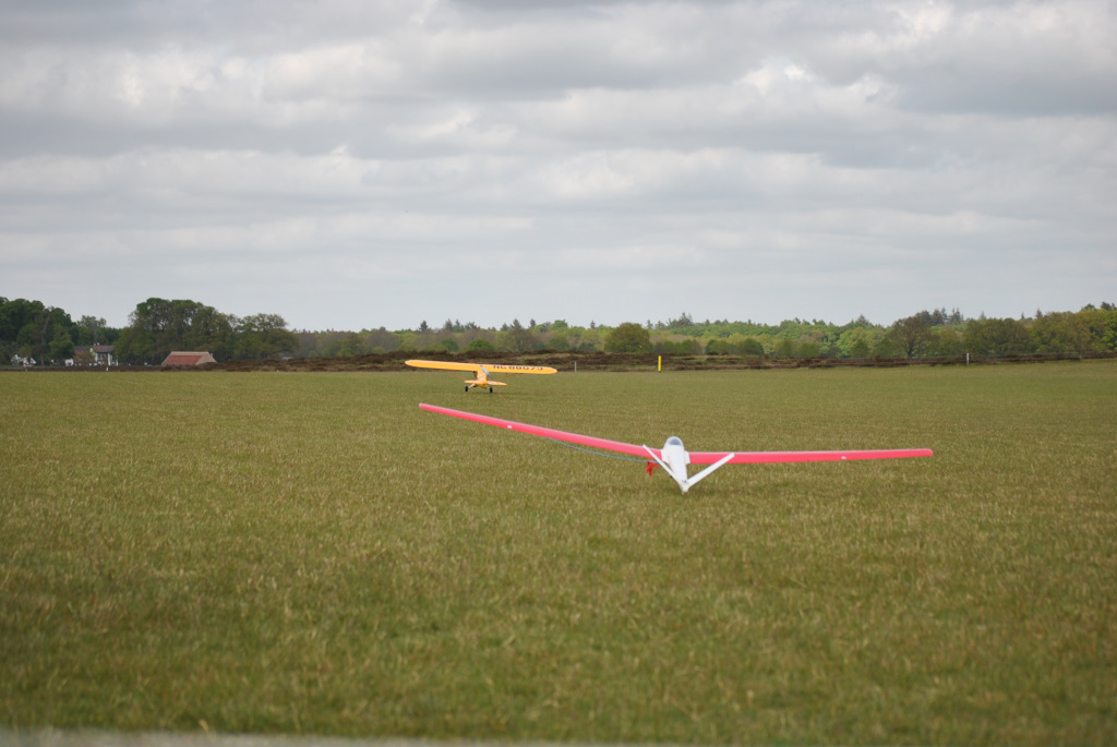 dsc_1303.jpg