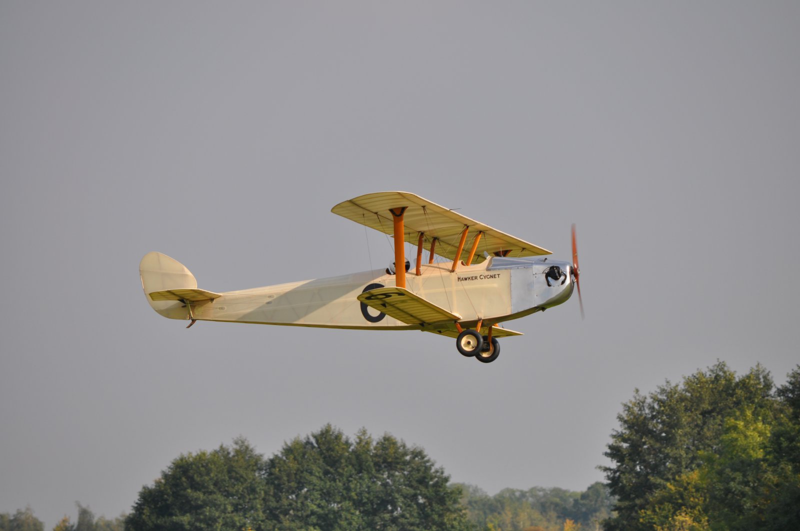 DSC_2350.JPG