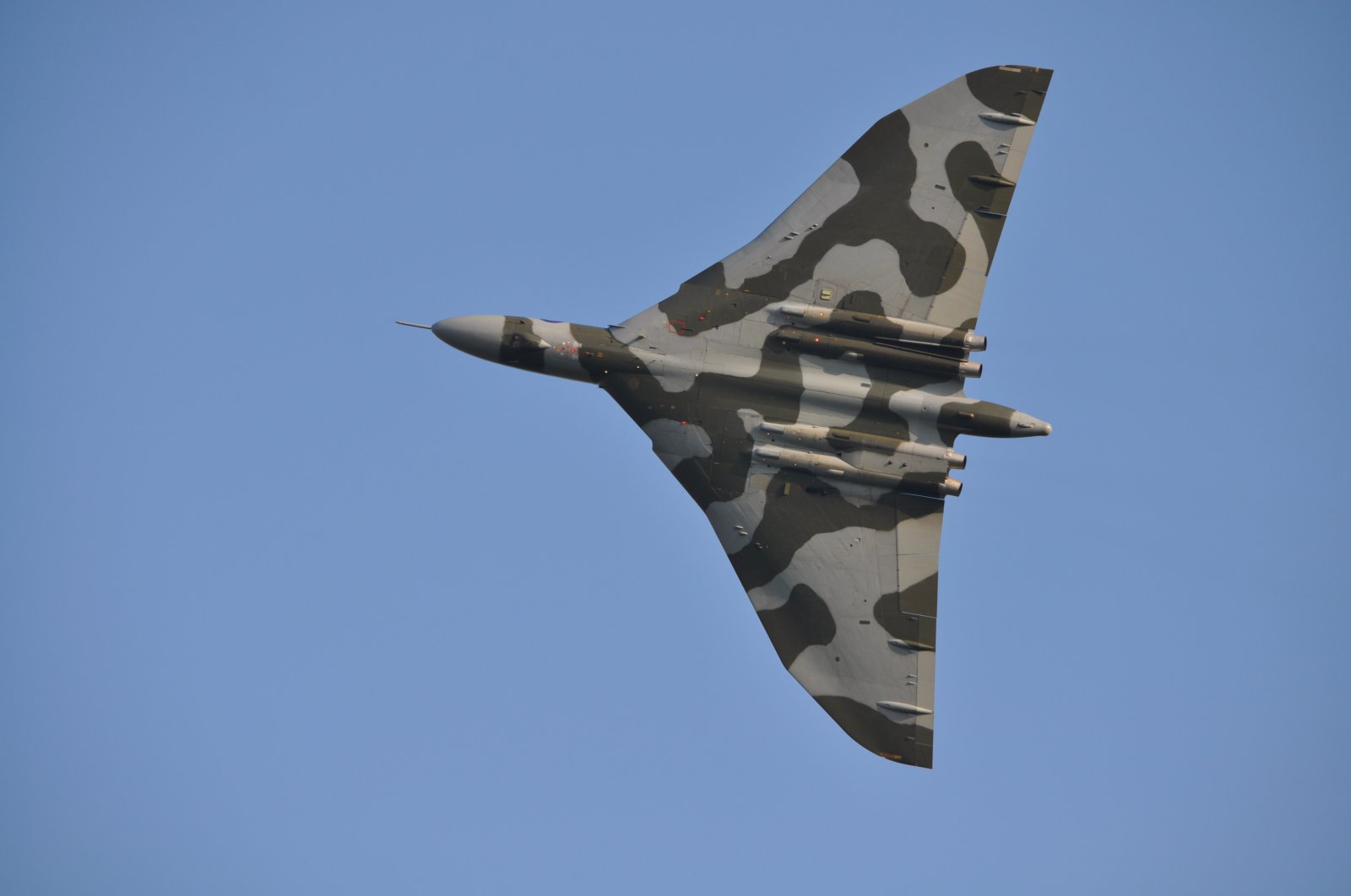 DSC_2458.JPG