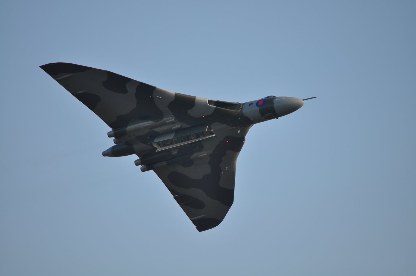 DSC_2478.JPG