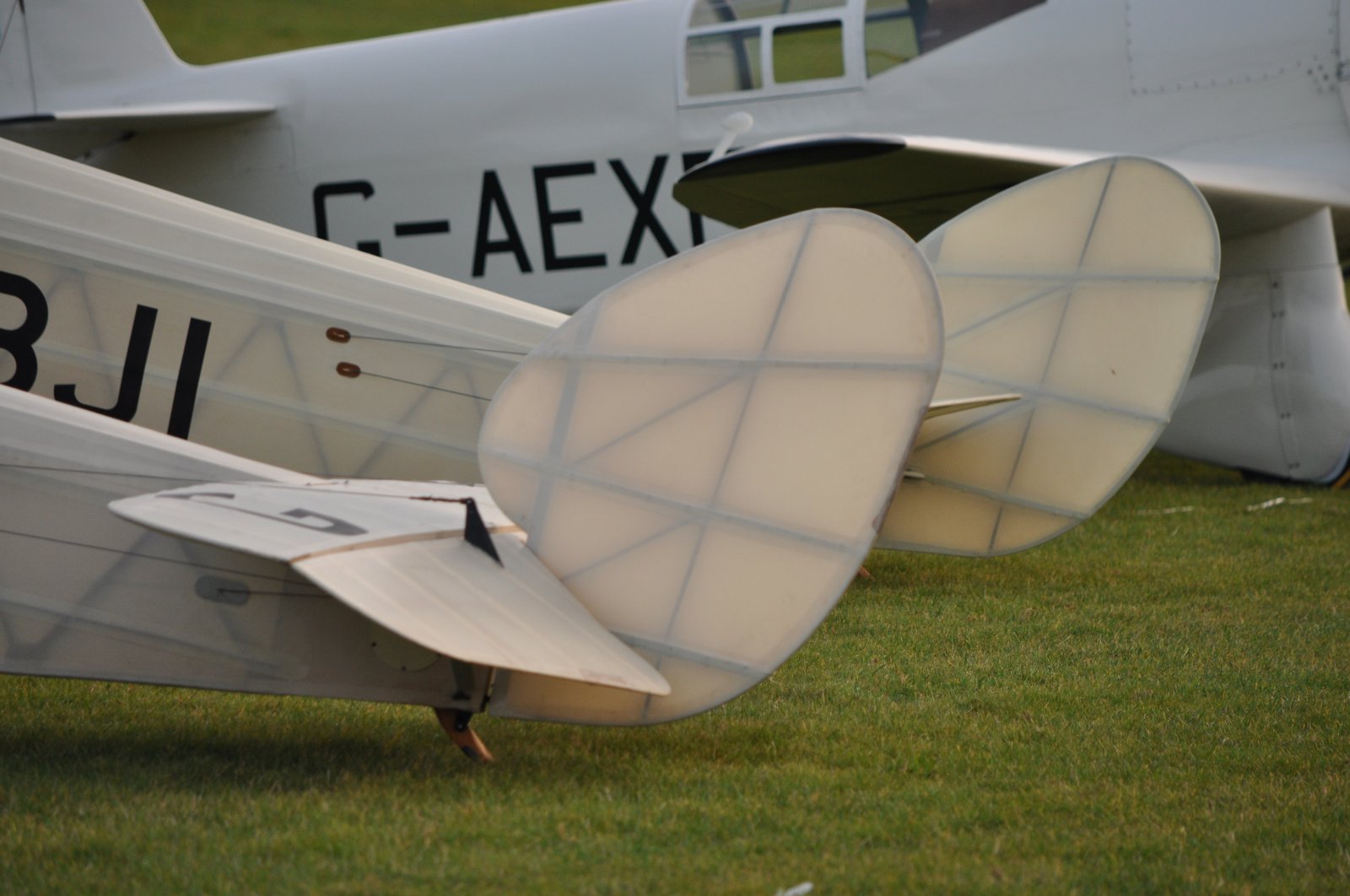 DSC_2672.JPG