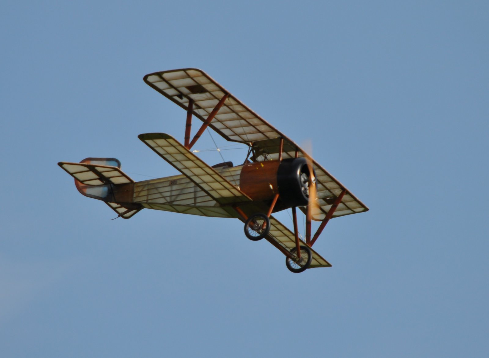DSC_3009 - kopie.JPG