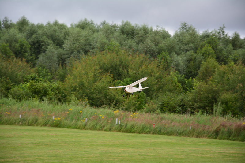 DSC_3156.JPG