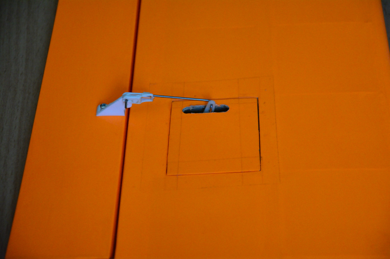 DSC_3384.JPG