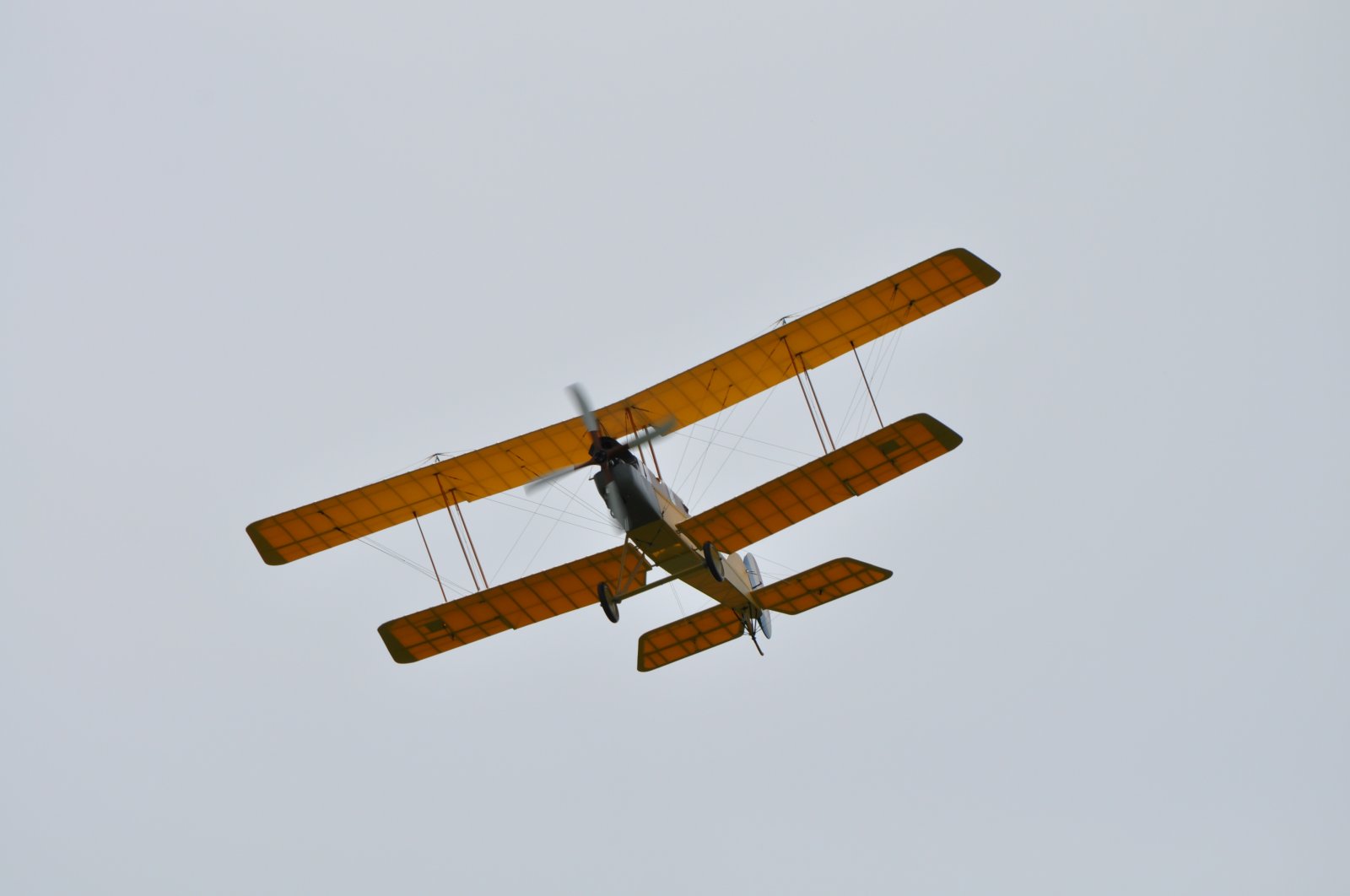 DSC_3734.JPG