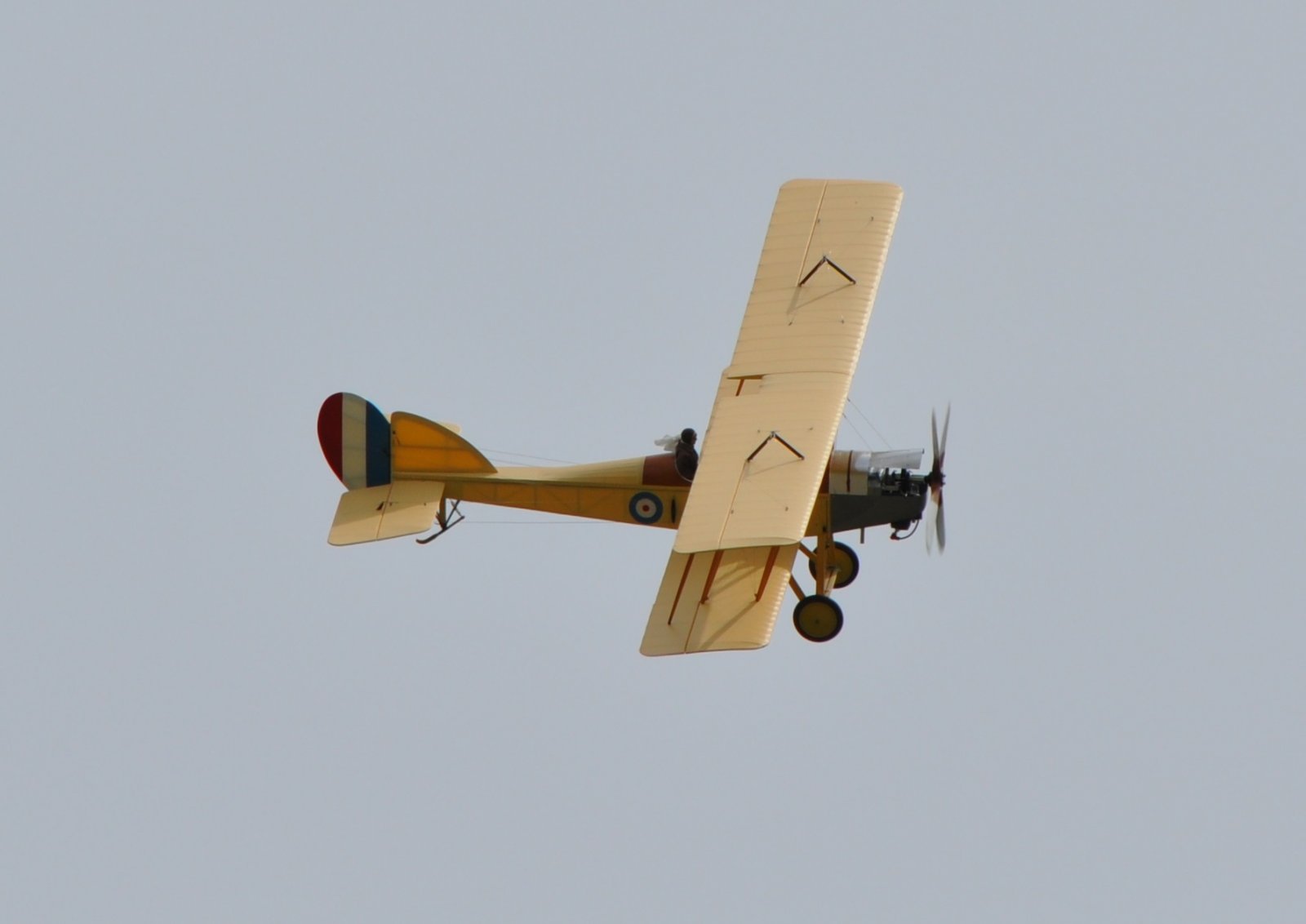 DSC_3736 - kopie.JPG