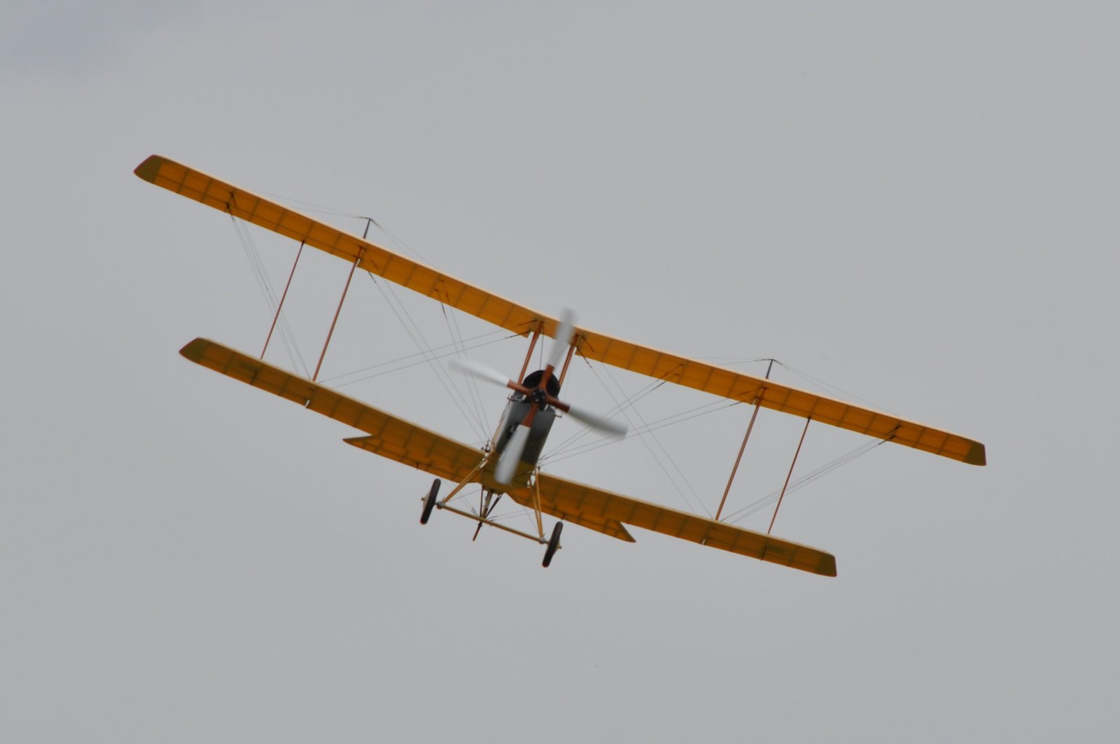 DSC_3745 - kopie.JPG