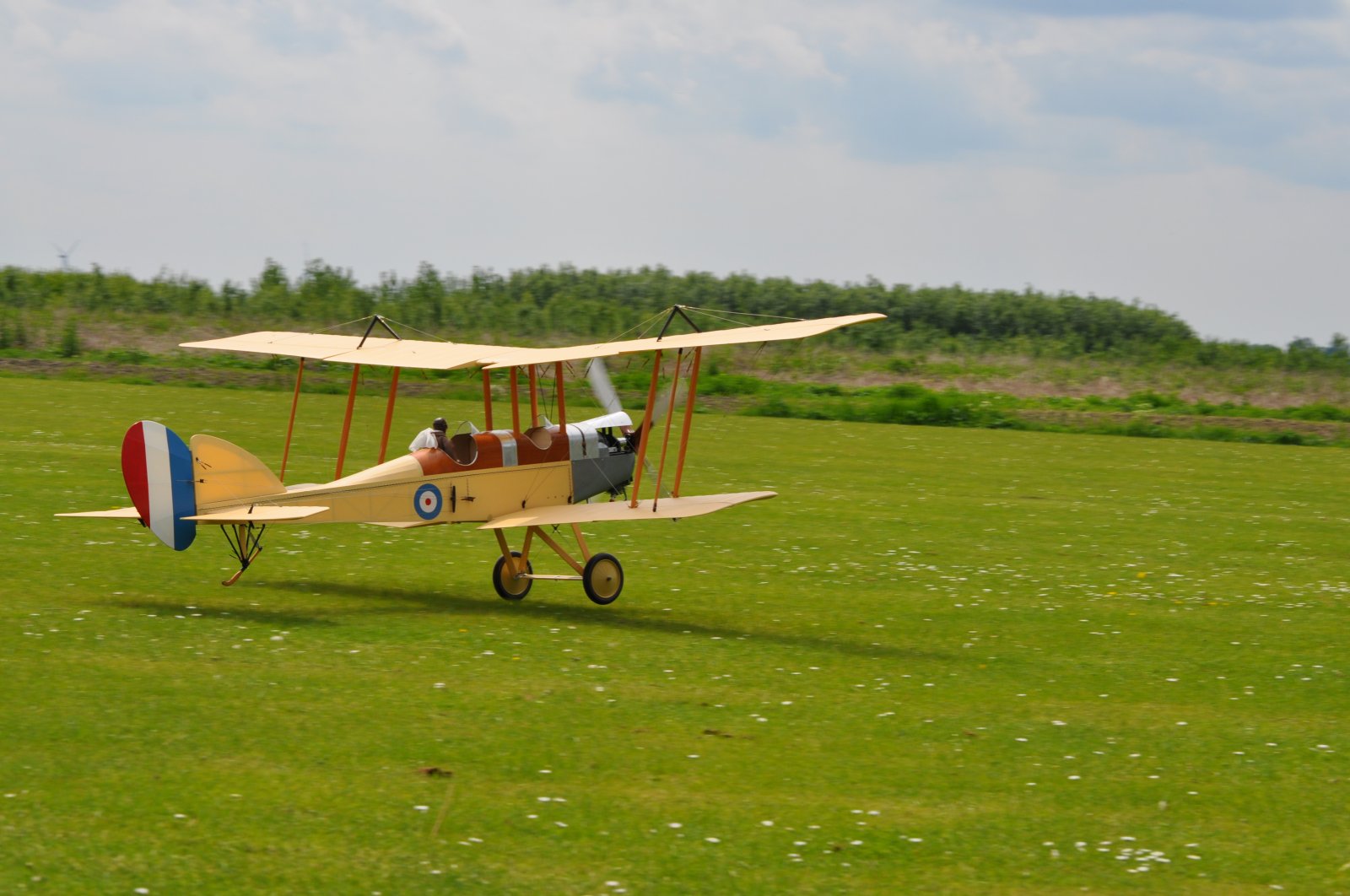 DSC_3748.JPG