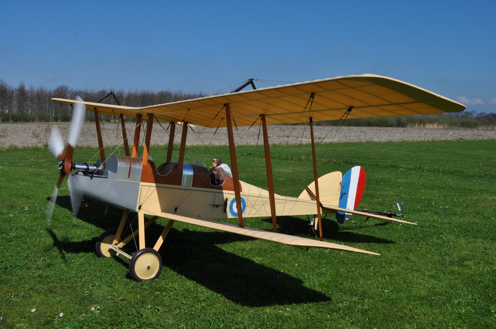 DSC_3763.JPG