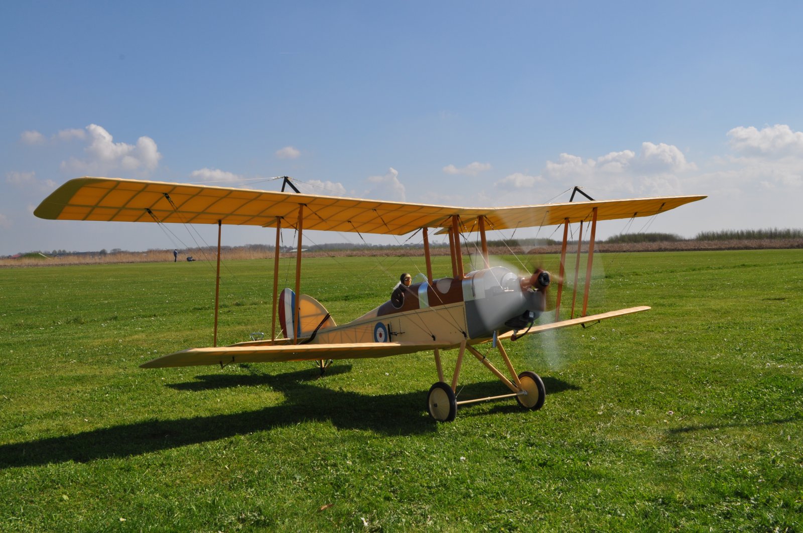 DSC_3764.JPG