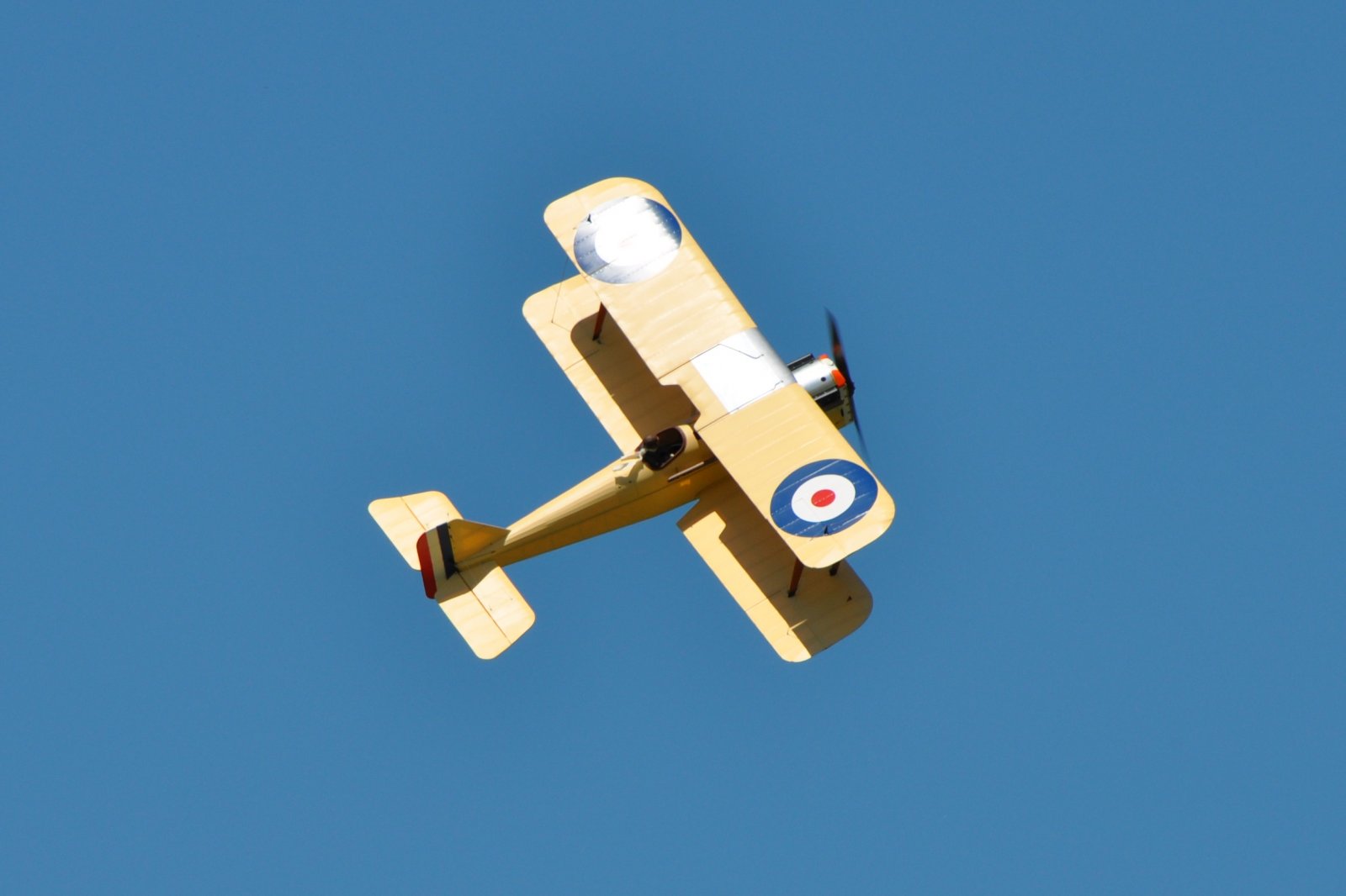 DSC_3815.JPG