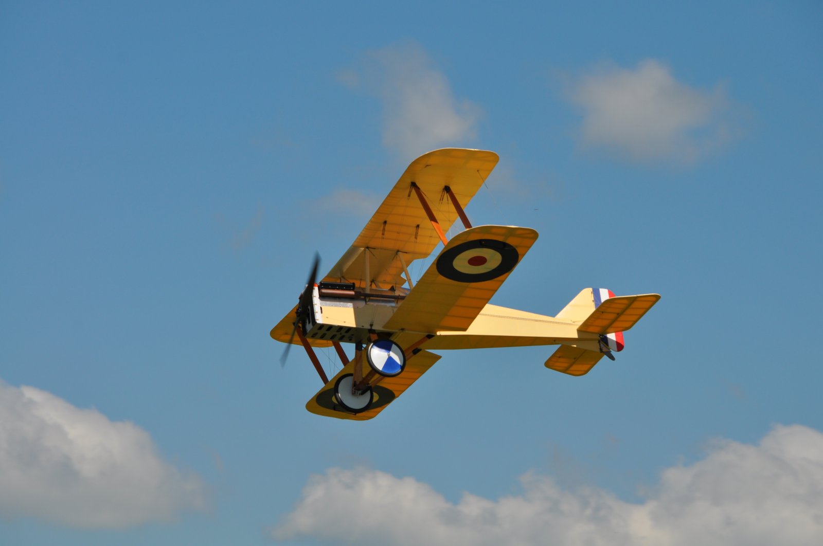 DSC_3833.JPG