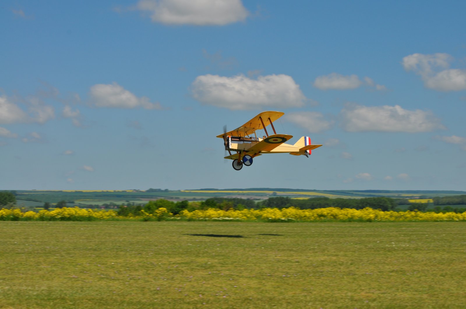 DSC_3846.JPG