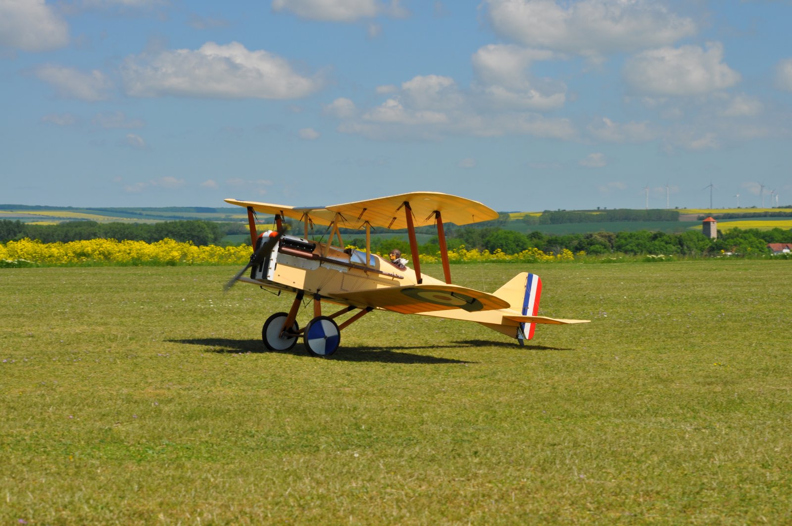 DSC_3858.JPG