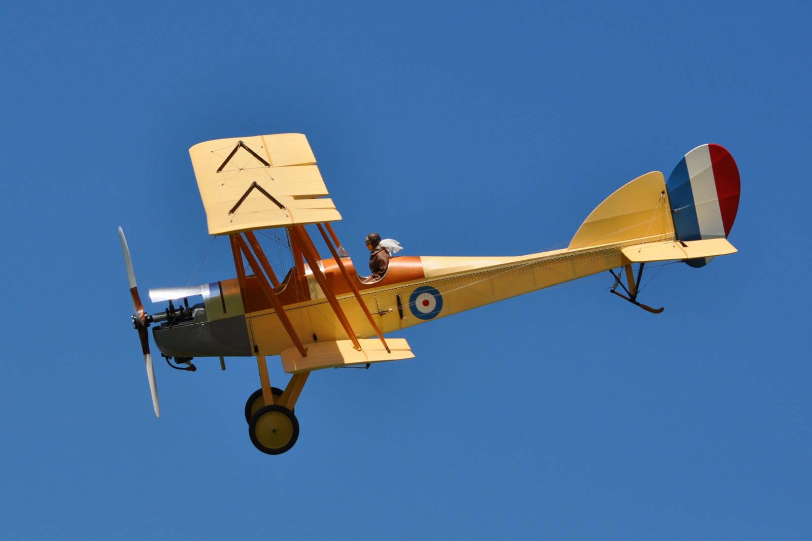 DSC_3881.JPG